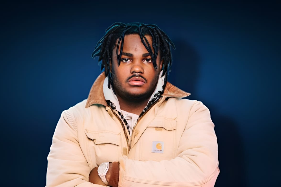 tee grizzley net worth