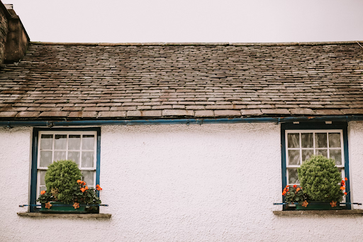 Roof Maintenance