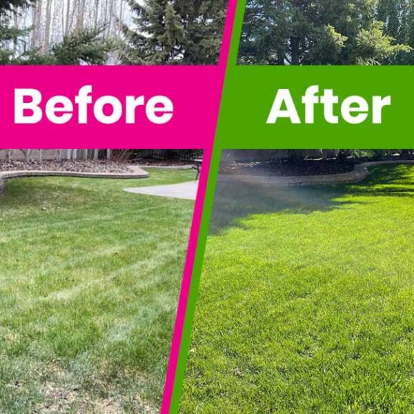 The Ultimate Guide to the Best Lawn Care Calgary Has to Offer