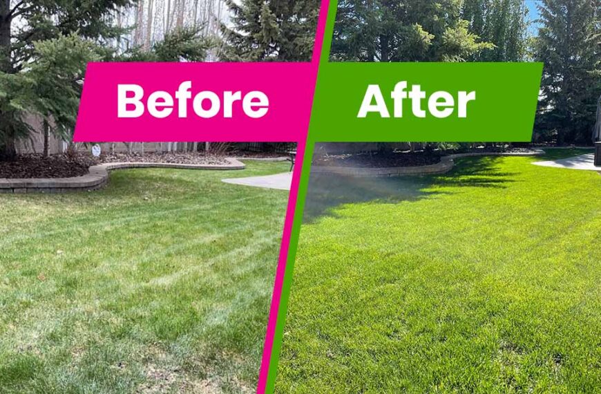 The Ultimate Guide to the Best Lawn Care Calgary Has to Offer