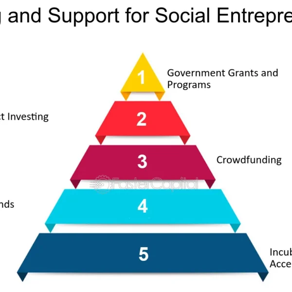 The Social Entrepreneur: Merging U.S. Grants and Social Media for Business Growth